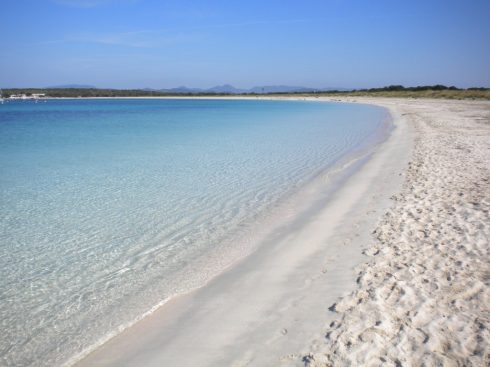 isla_de_espalmador